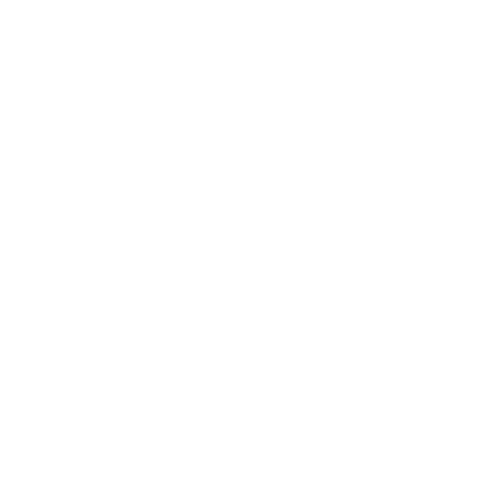 SHOON STONE RIVER